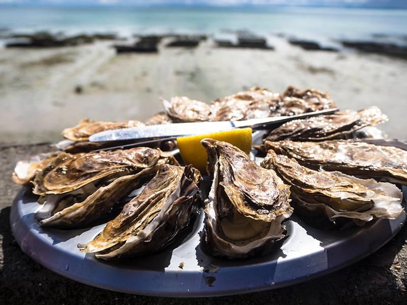 点海成金水产养殖新闻图片